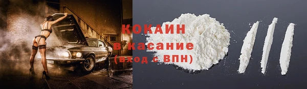 шишки Верхний Тагил