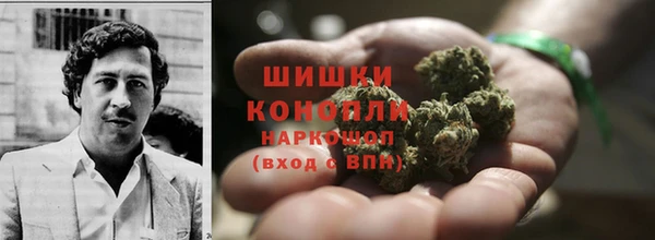apvp Верея