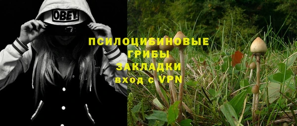 шишки Верхний Тагил