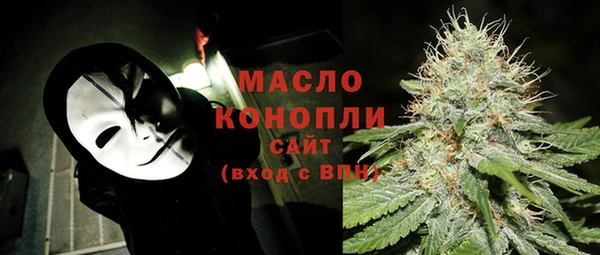 шишки Верхний Тагил