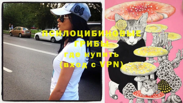 apvp Верея