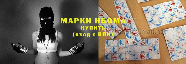 шишки Верхний Тагил