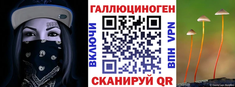 Купить где  Сусуман  Галлюциногенные грибы GOLDEN TEACHER 